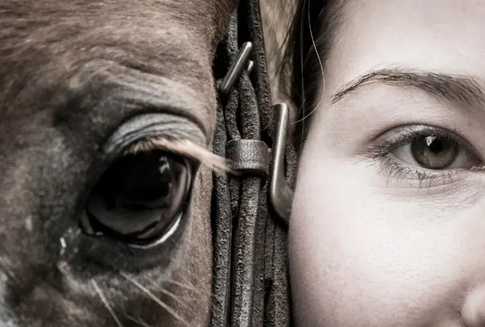 Człowiek na koniu: Historia relacji, która zmieniła świat