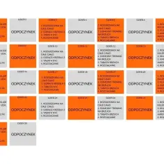 Plan treningowy online: Skuteczny sposób na osiągnięcie celów fitness