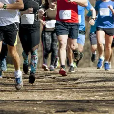 Maraton Beskid Niski: Wyzwanie dla biegaczy w górskim raju